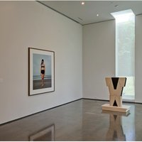 Diane Simpson Group Exhibition on View at Hessel Museum of Art, New York